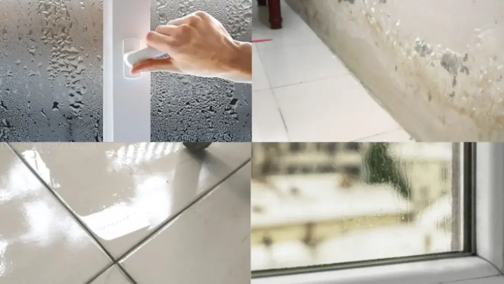 Xốp xps có giải quyết hiện tượng nồm